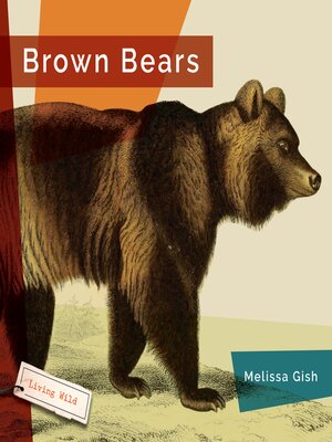 cover image of Brown Bears
